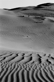 Imperial Sand Dunes