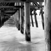 Under the Pier 2