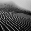 Imperial Sand Dunes #8