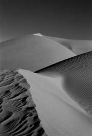 Imperial Sand Dunes #1