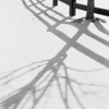 Shadows in the Snow #2