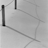 Shadows in the Snow #3