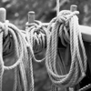 Ropes #2