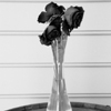 Roses on a Wine Barrel