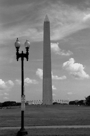 No Stopping or Standing